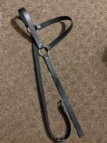Shoulder Harness