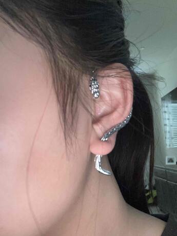 Snake Earring Wrap
