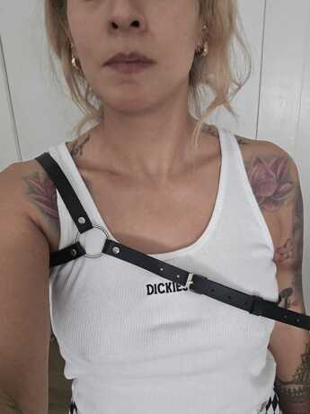 Shoulder Harness