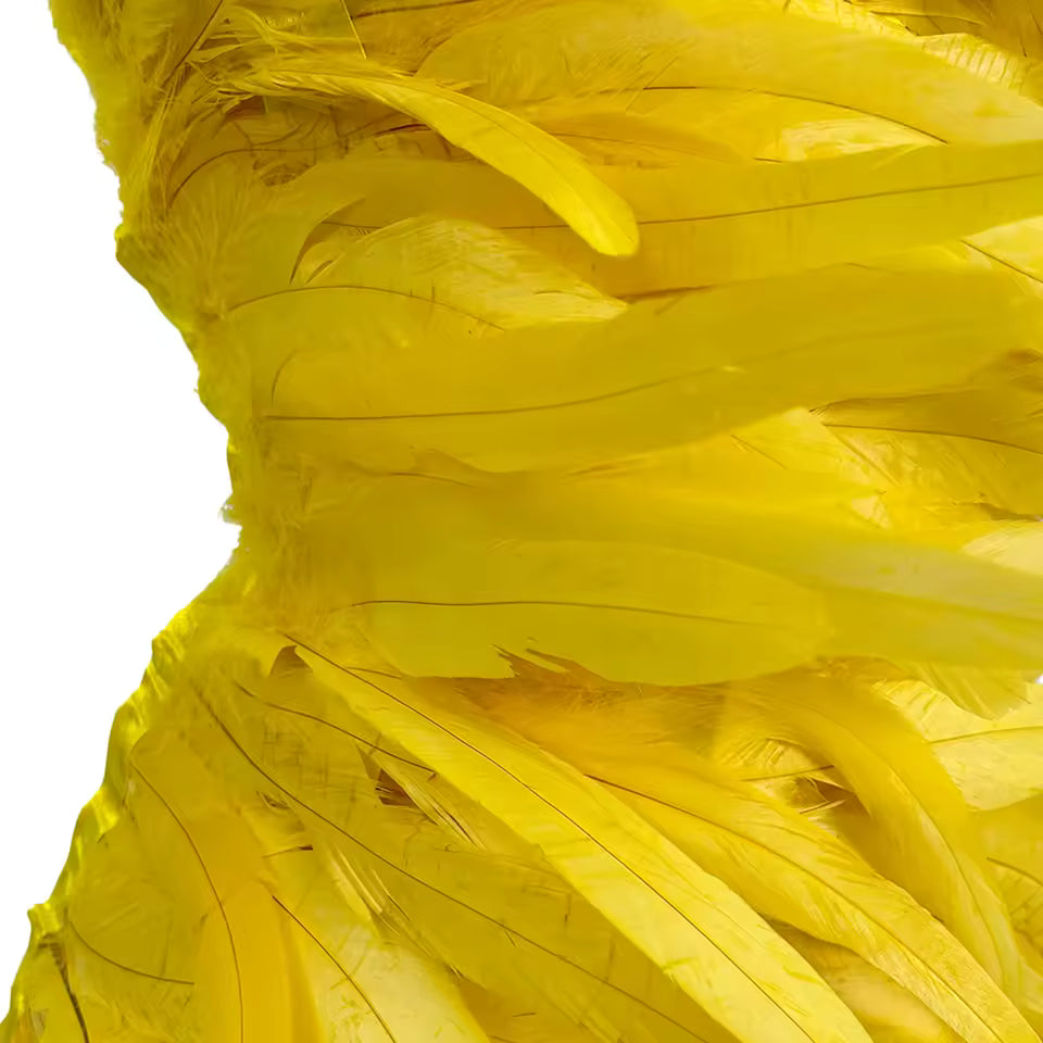 Yellow Feather Dress