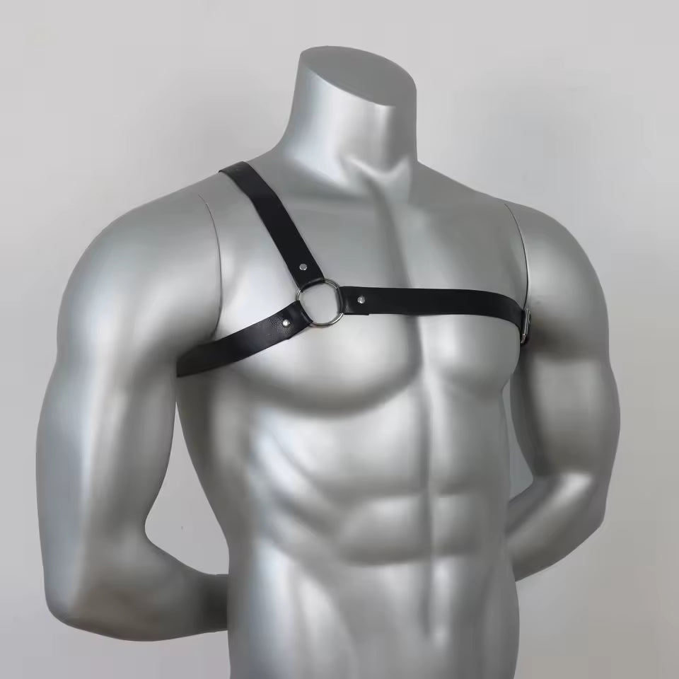 Shoulder Harness