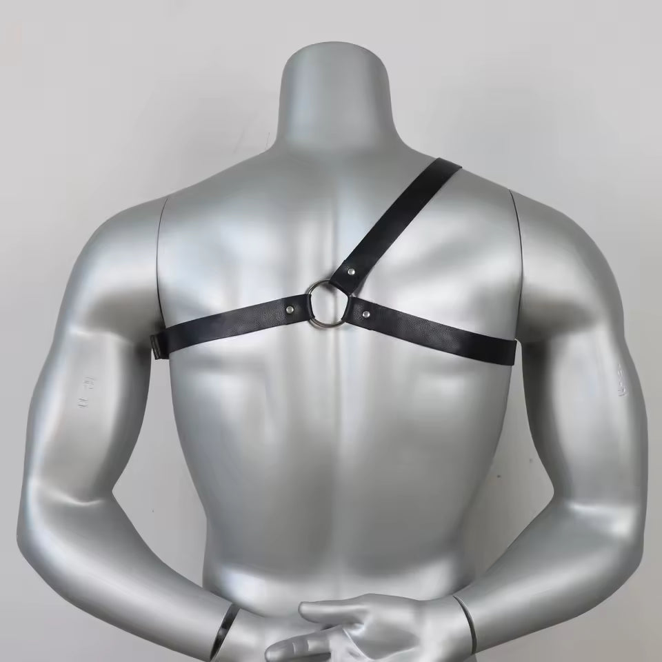 Shoulder Harness