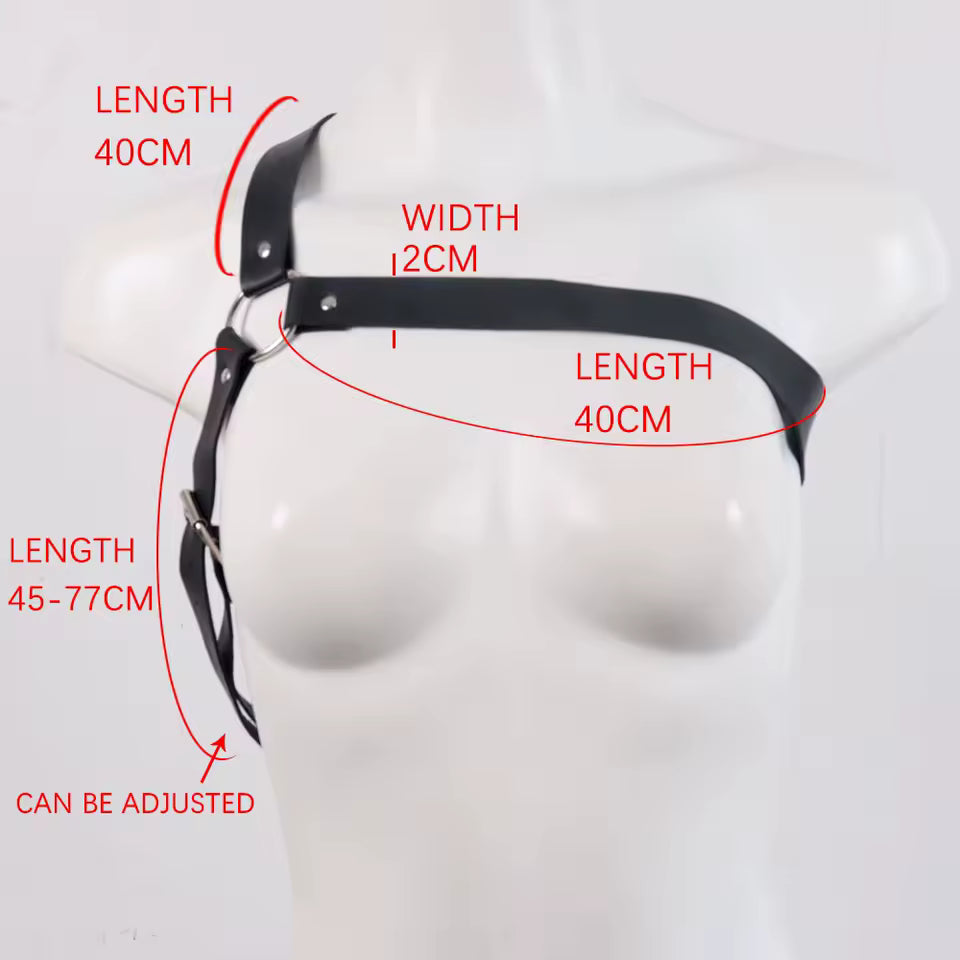 Shoulder Harness
