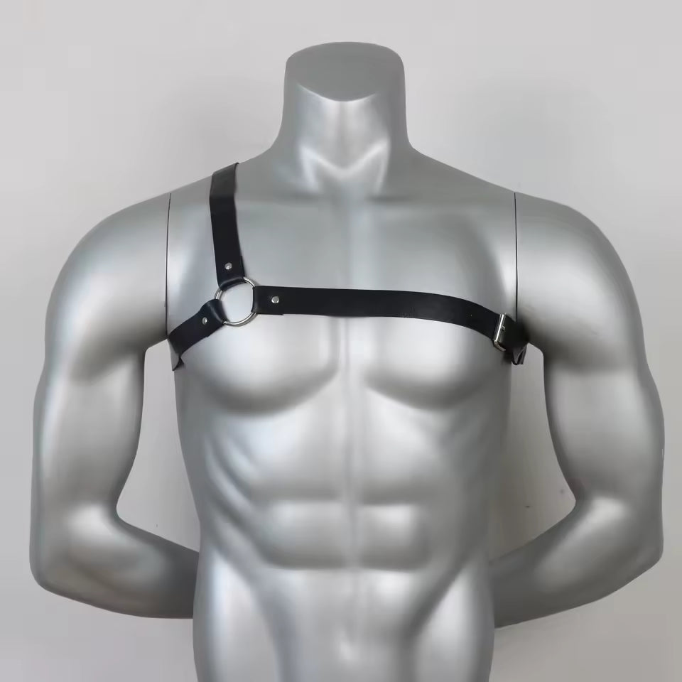 Shoulder Harness