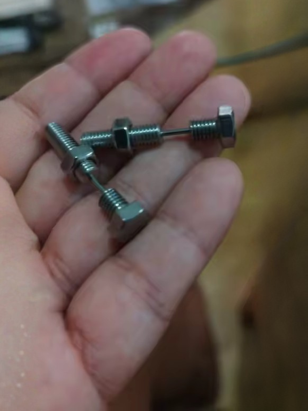 Bolt Screw Earrings
