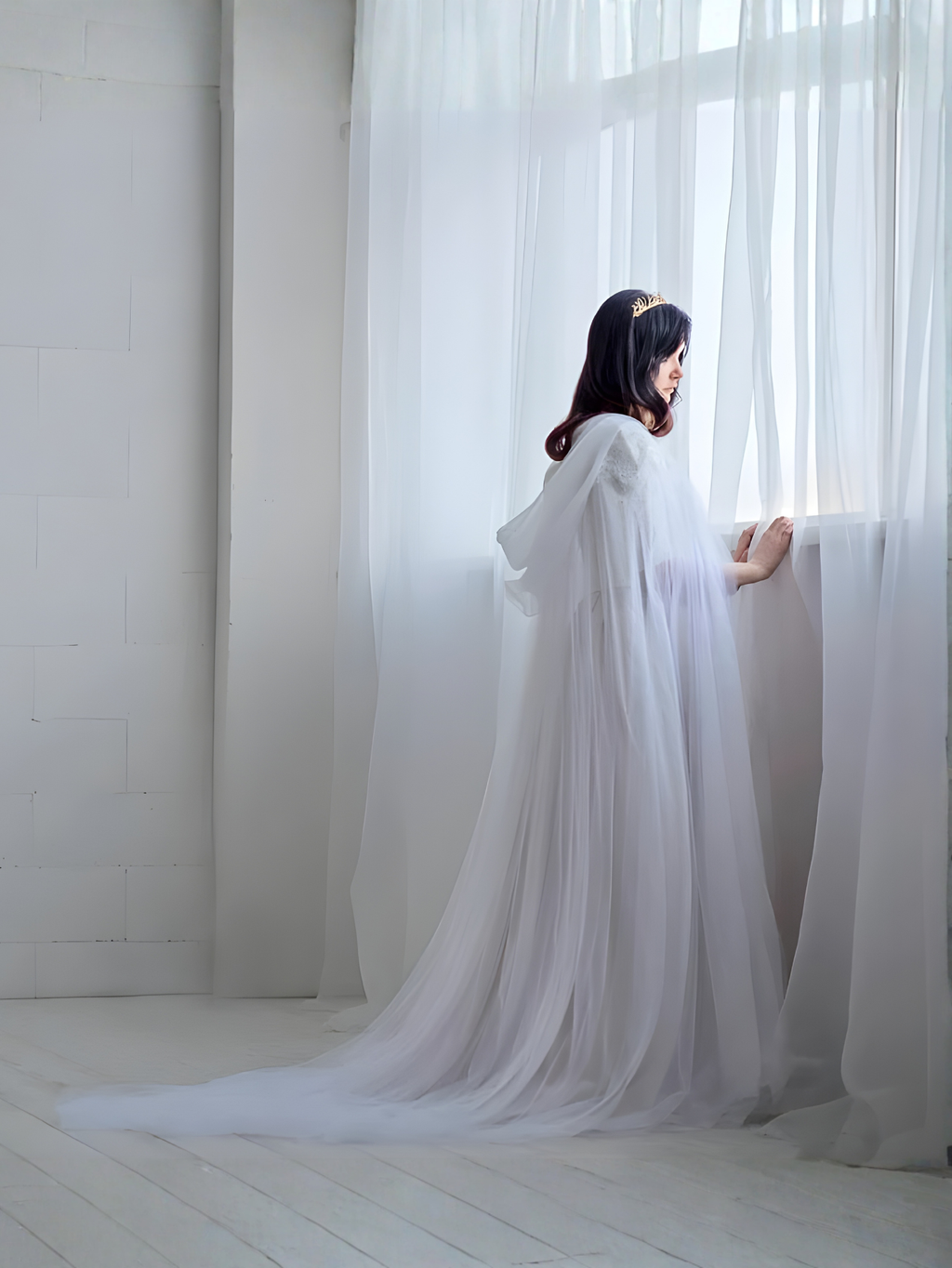Sheer Cape Costume