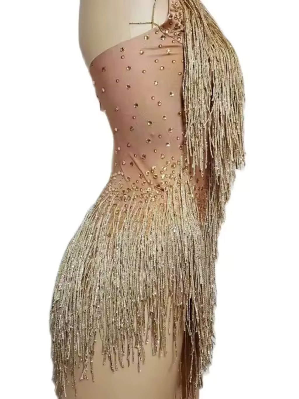 Tina Turner Fringe Dance Costume