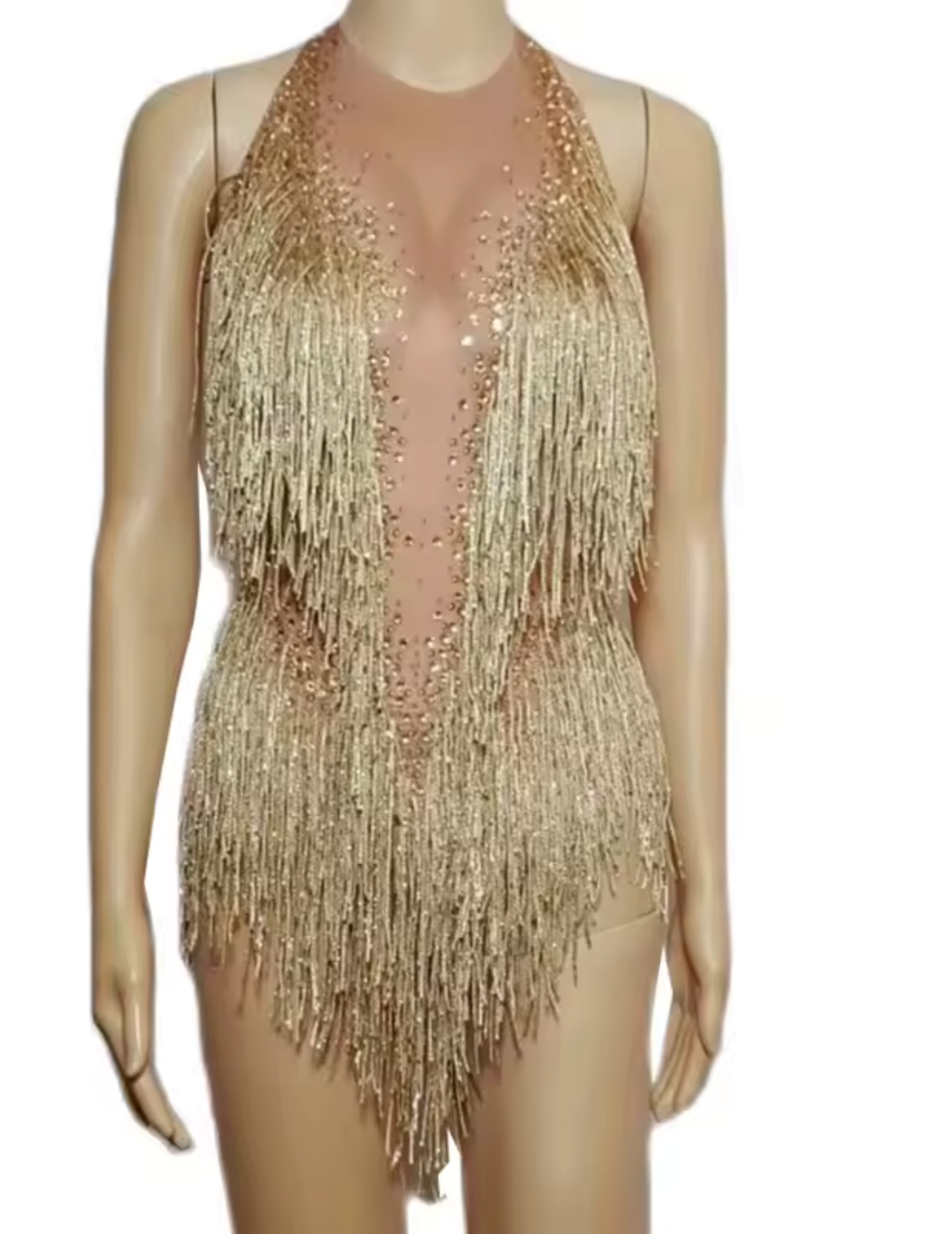 Tina Turner Fringe Dance Costume