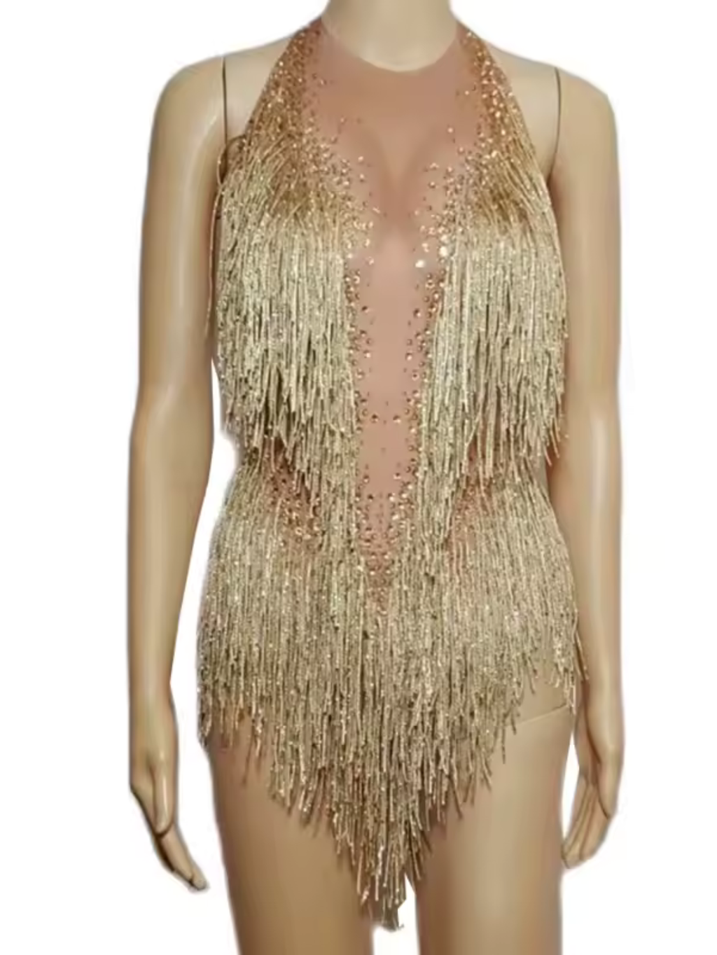 Tina Turner Fringe Dance Costume