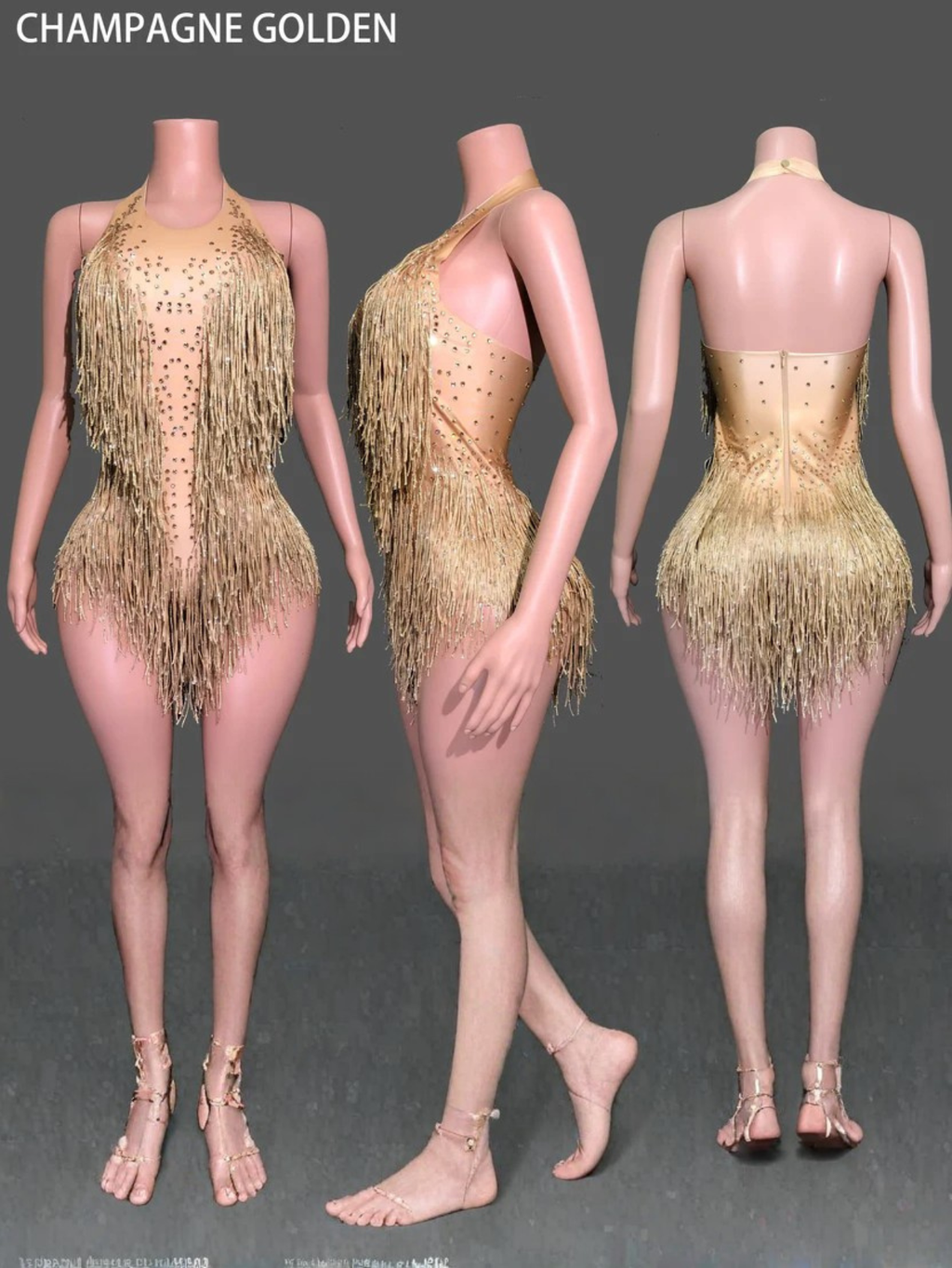 Tina Turner Fringe Dance Costume