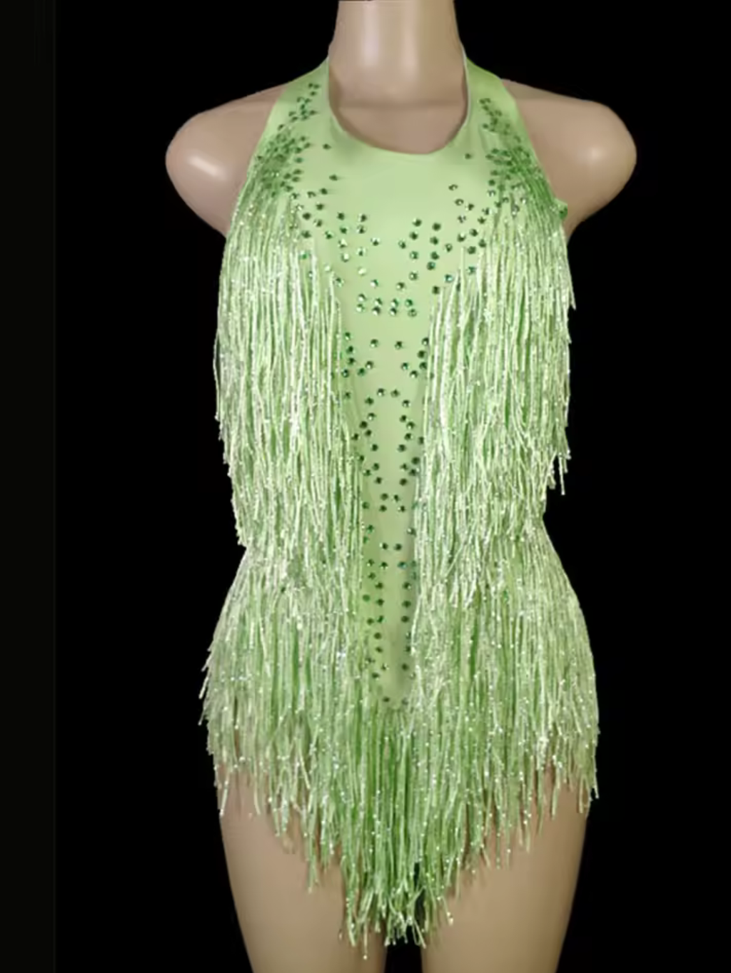 Tina Turner Fringe Dance Costume