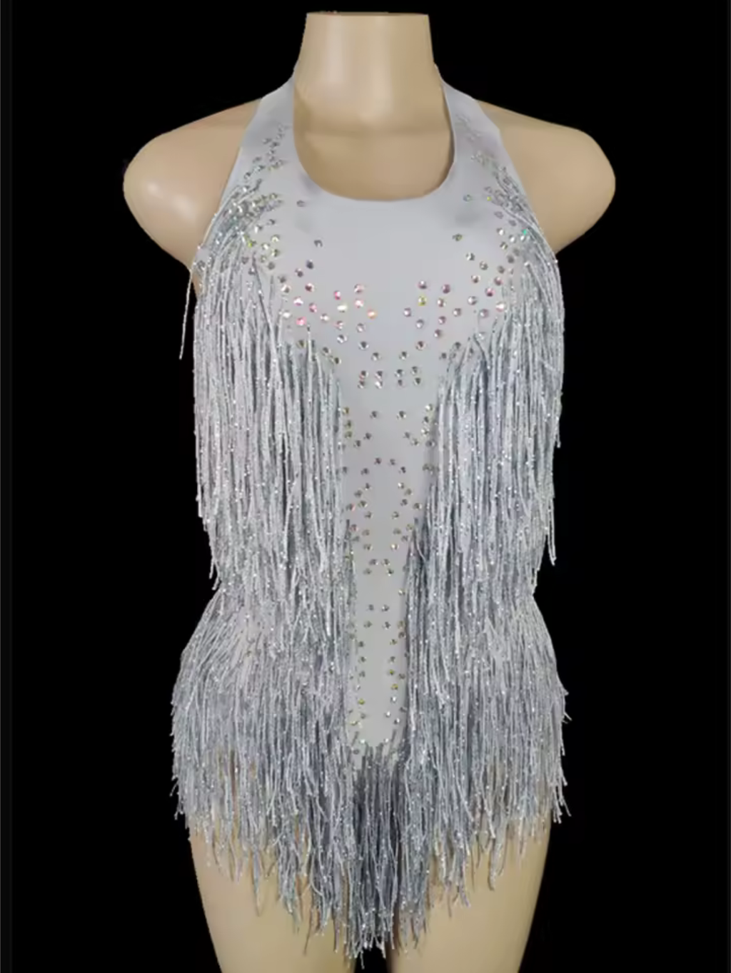 Tina Turner Fringe Dance Costume