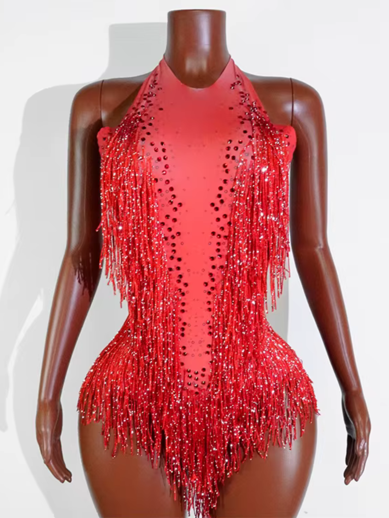 Tina Turner Fringe Dance Costume