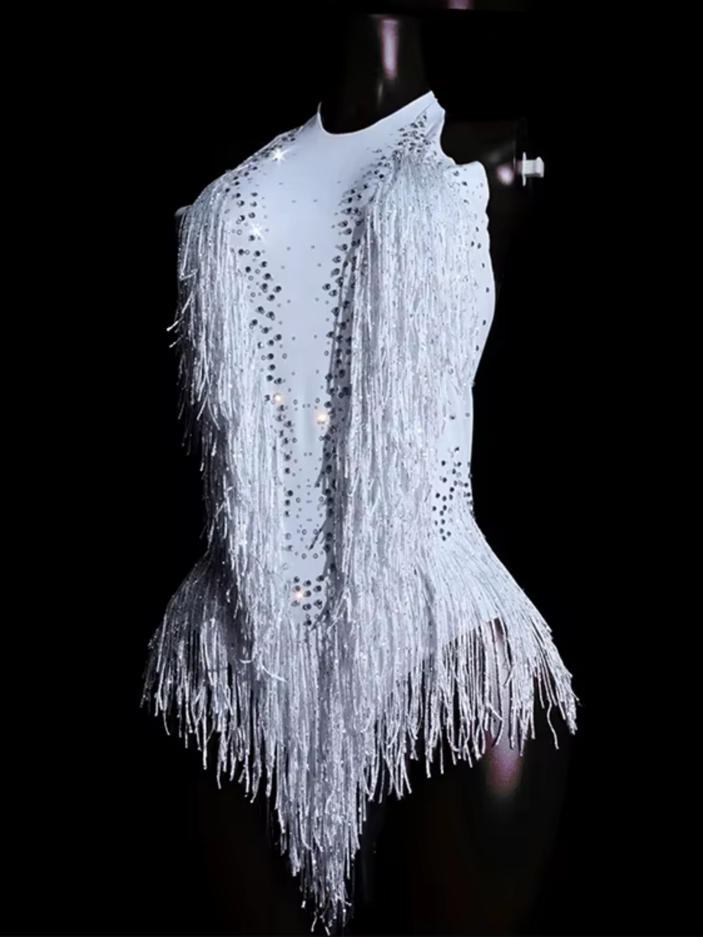 Tina Turner Fringe Dance Costume