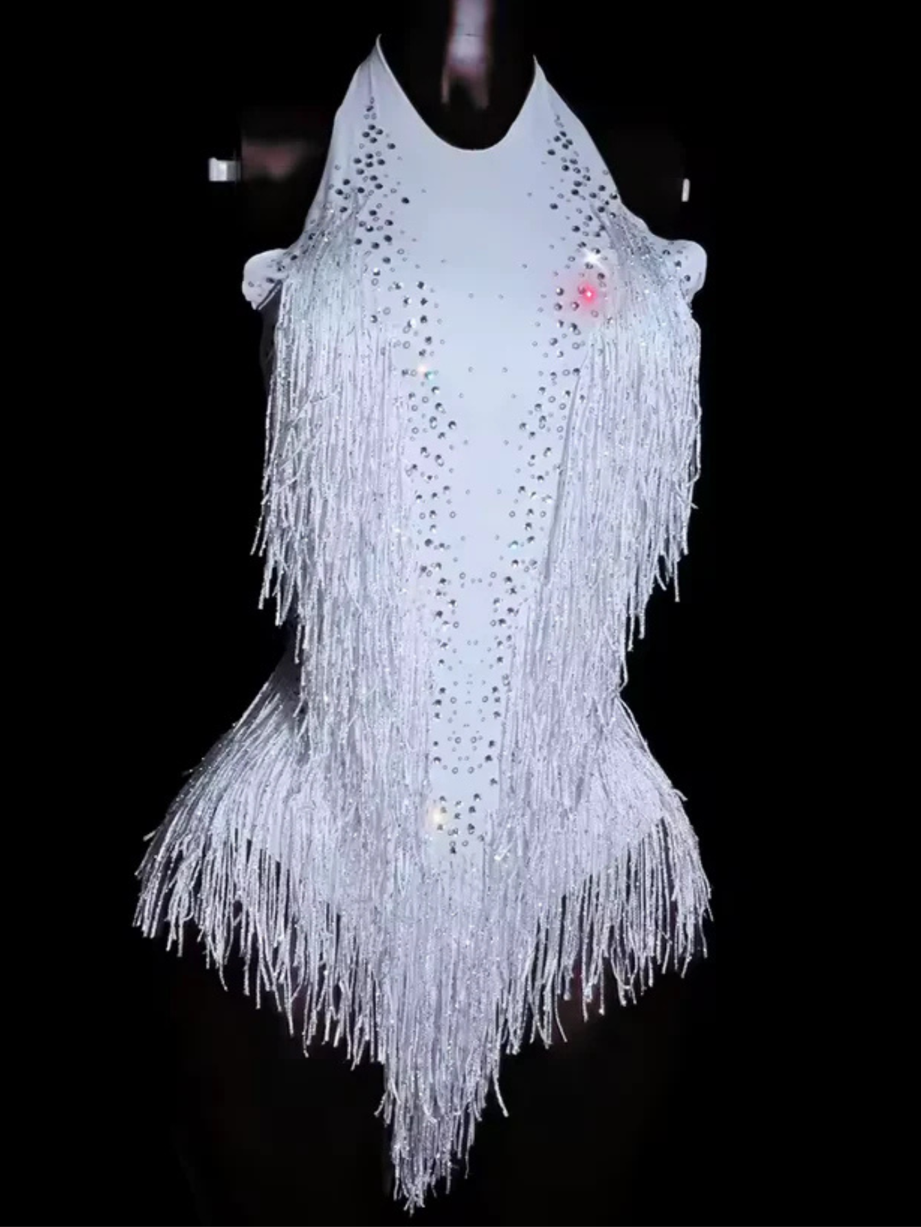 Tina Turner Fringe Dance Costume