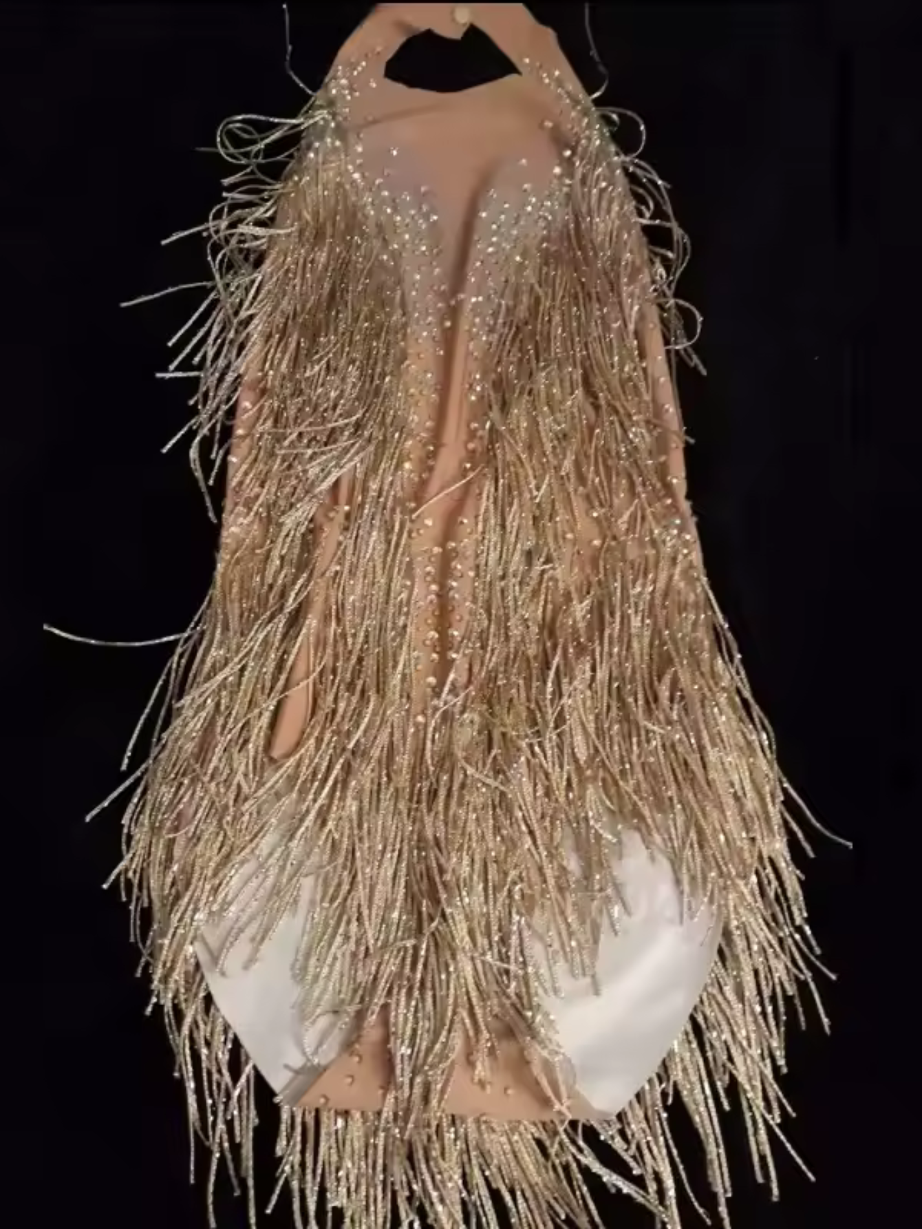 Tina Turner Fringe Dance Costume