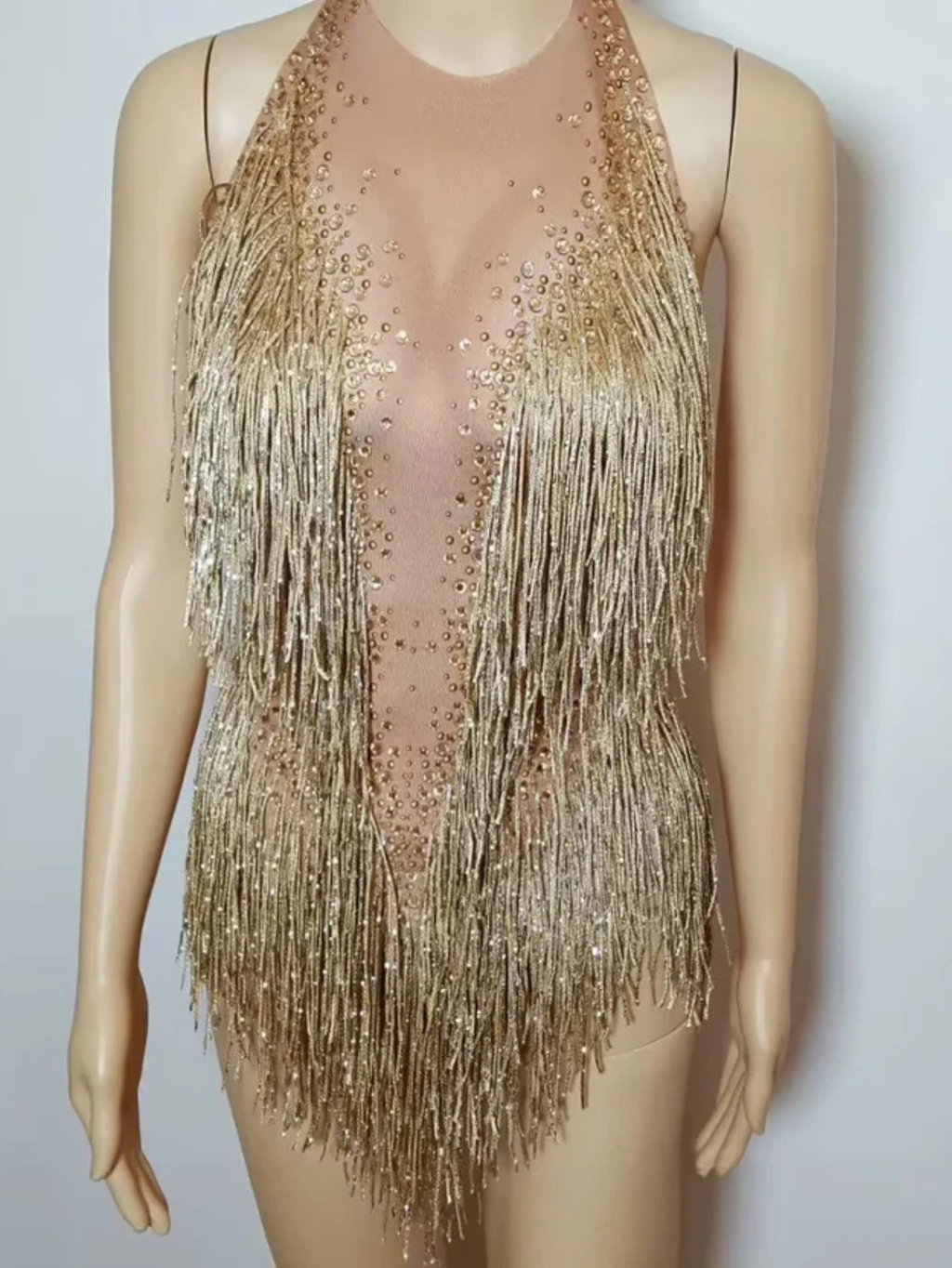 Tina Turner Fringe Dance Costume