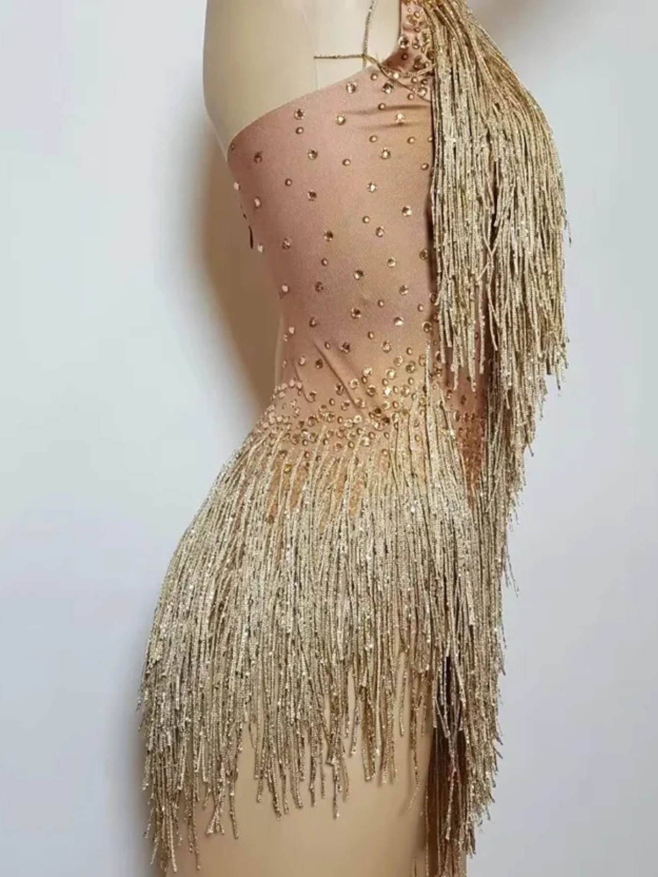 Tina Turner Fringe Dance Costume