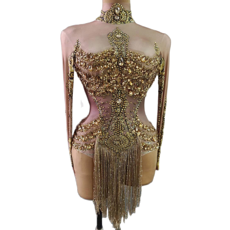 Tina Turner Fringe Dance Costume