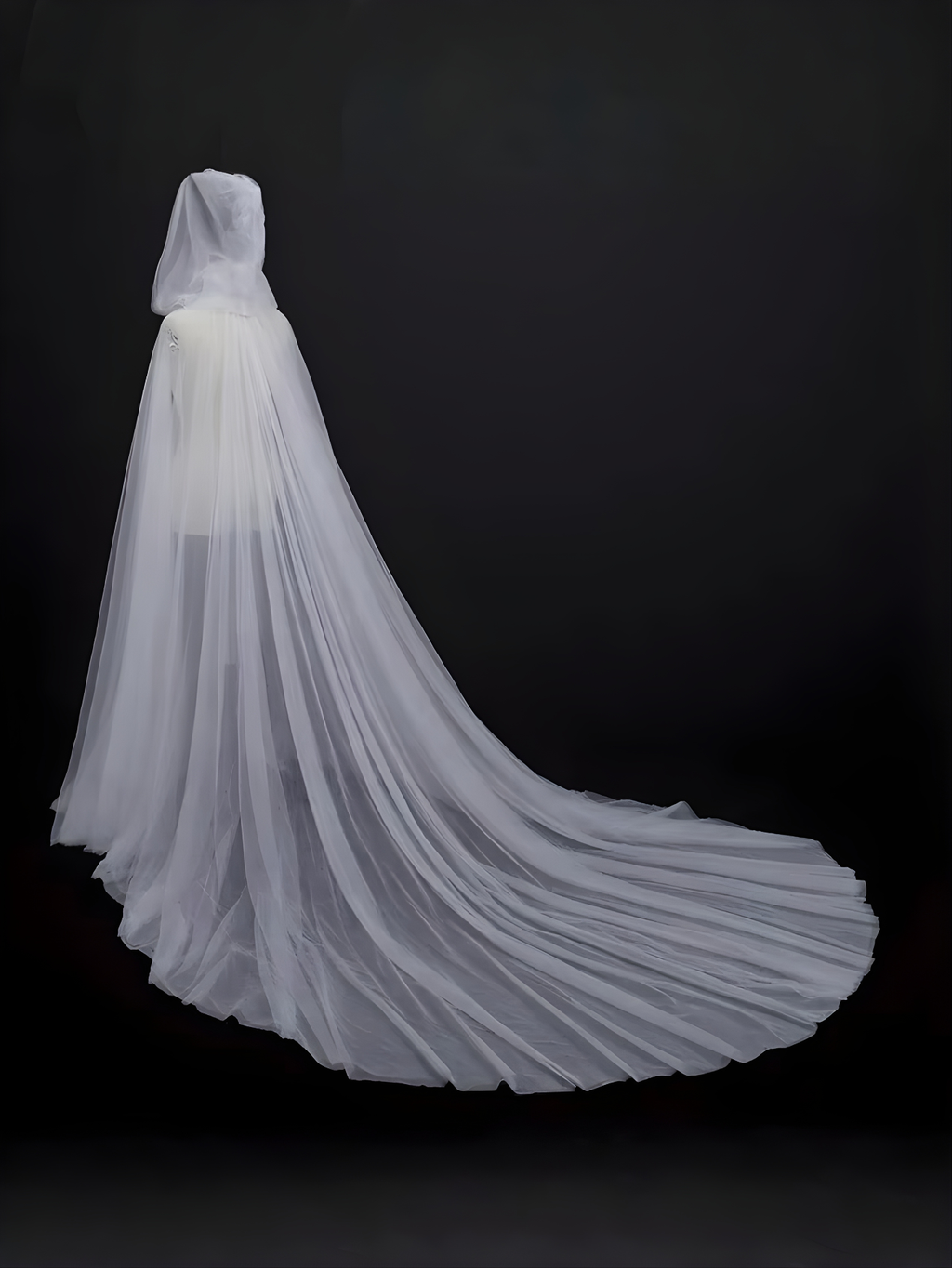 Sheer Cape Costume
