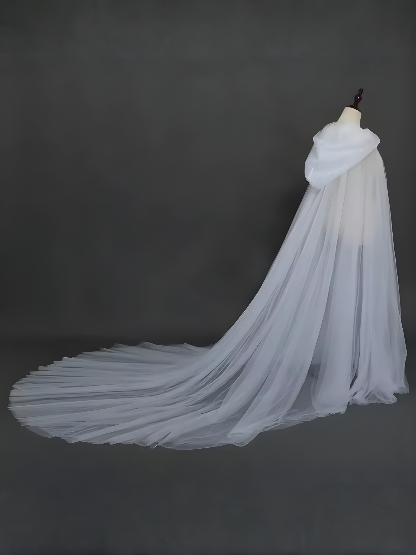 Sheer Cape Costume