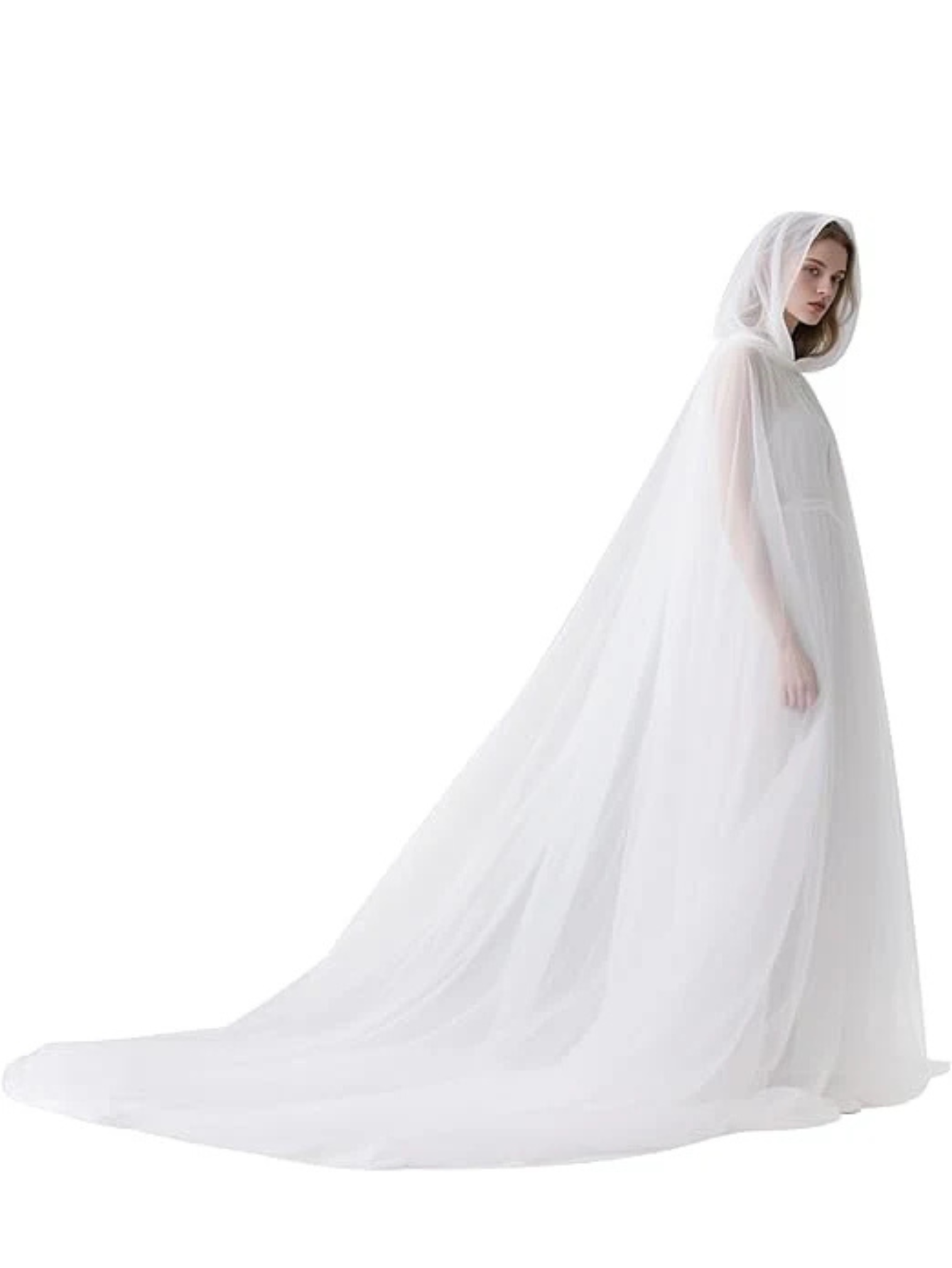 Sheer Cape Costume