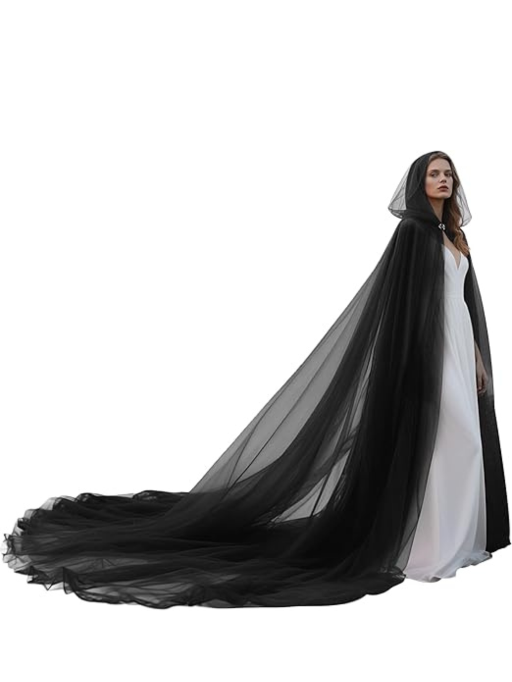 Sheer Cape Costume