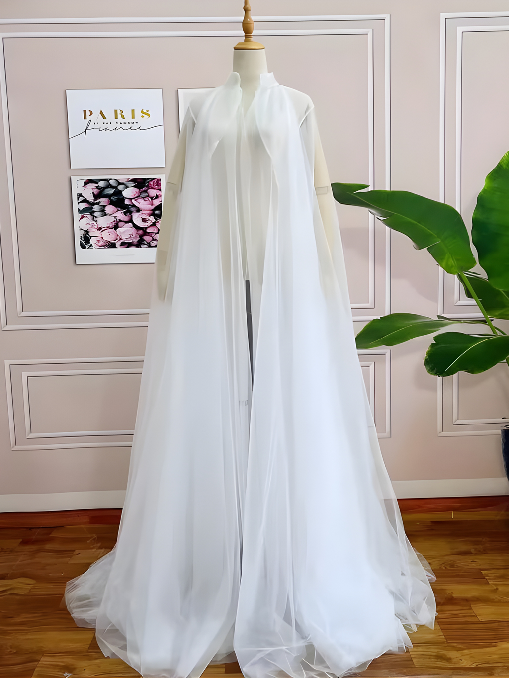 Sheer Cape Costume