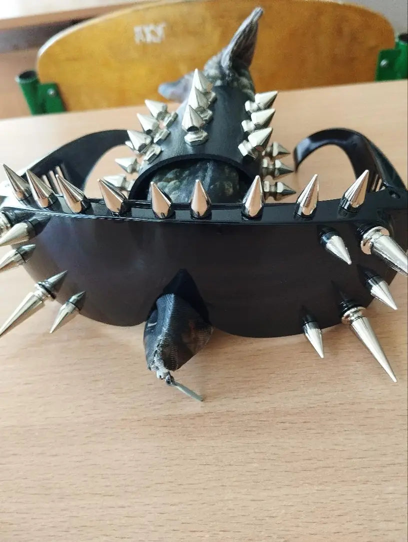 Spiked Punk Rock Sunglasses