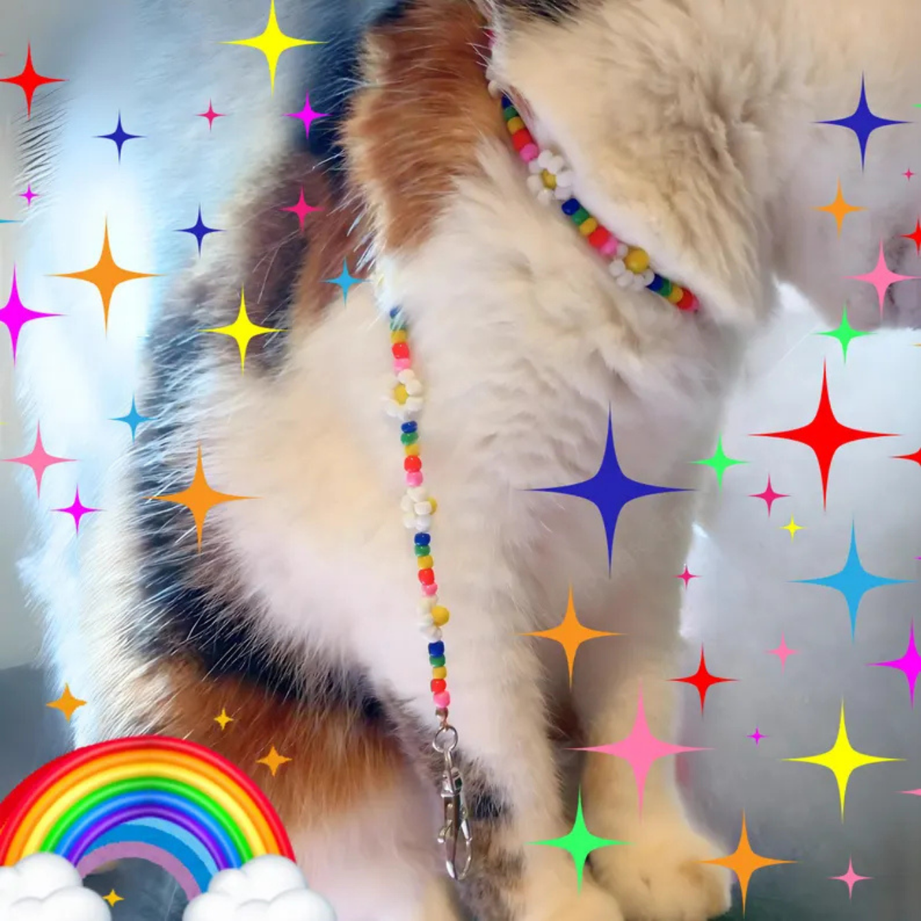 Daisy Beaded Rainbow Chain