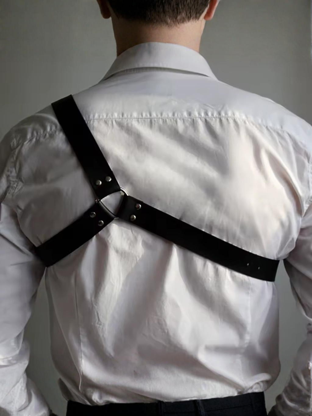 Shoulder Harness