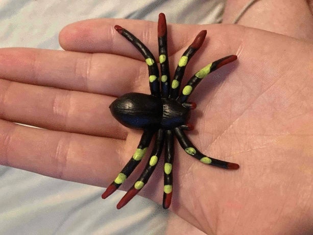 Spider Hair Clips 3PC