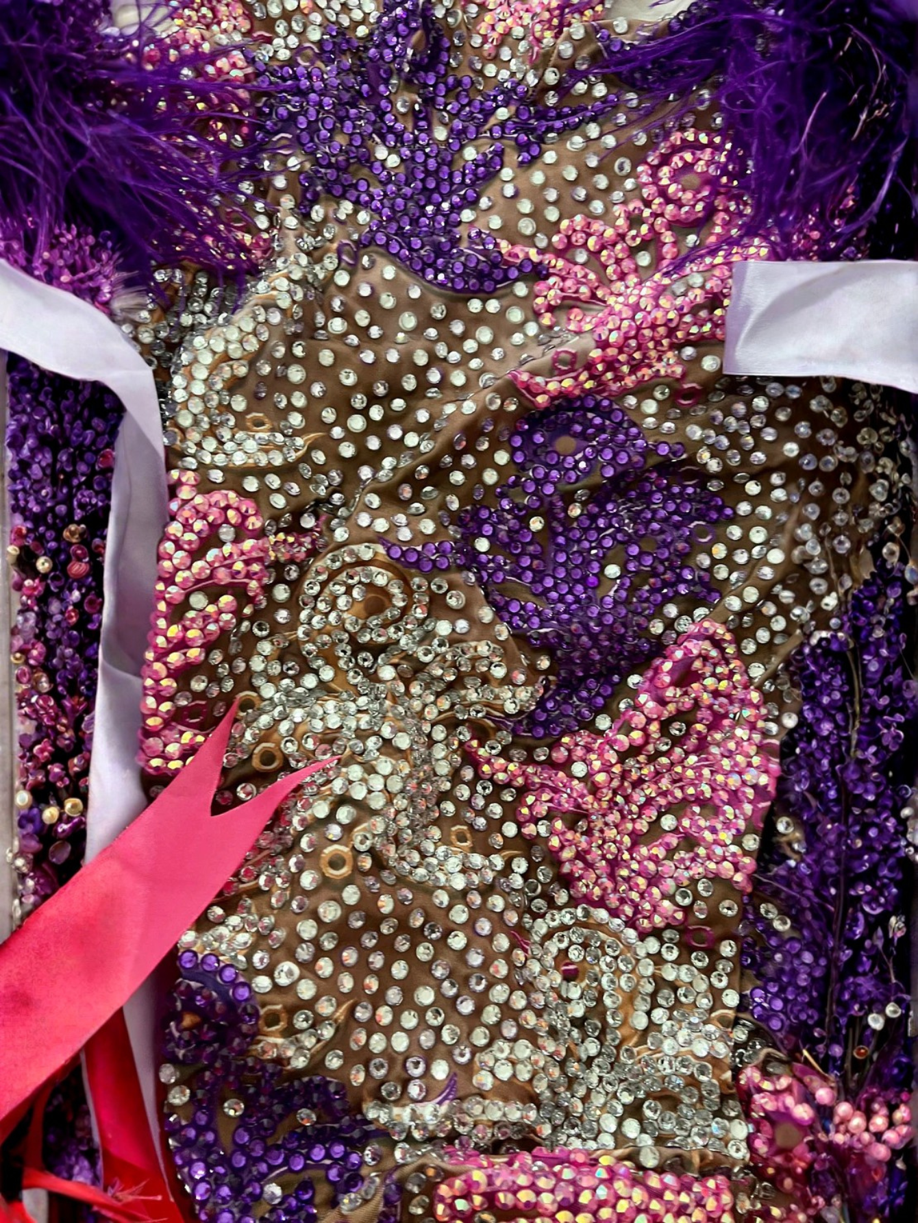 Diamond Monokini Feather Fur Costume