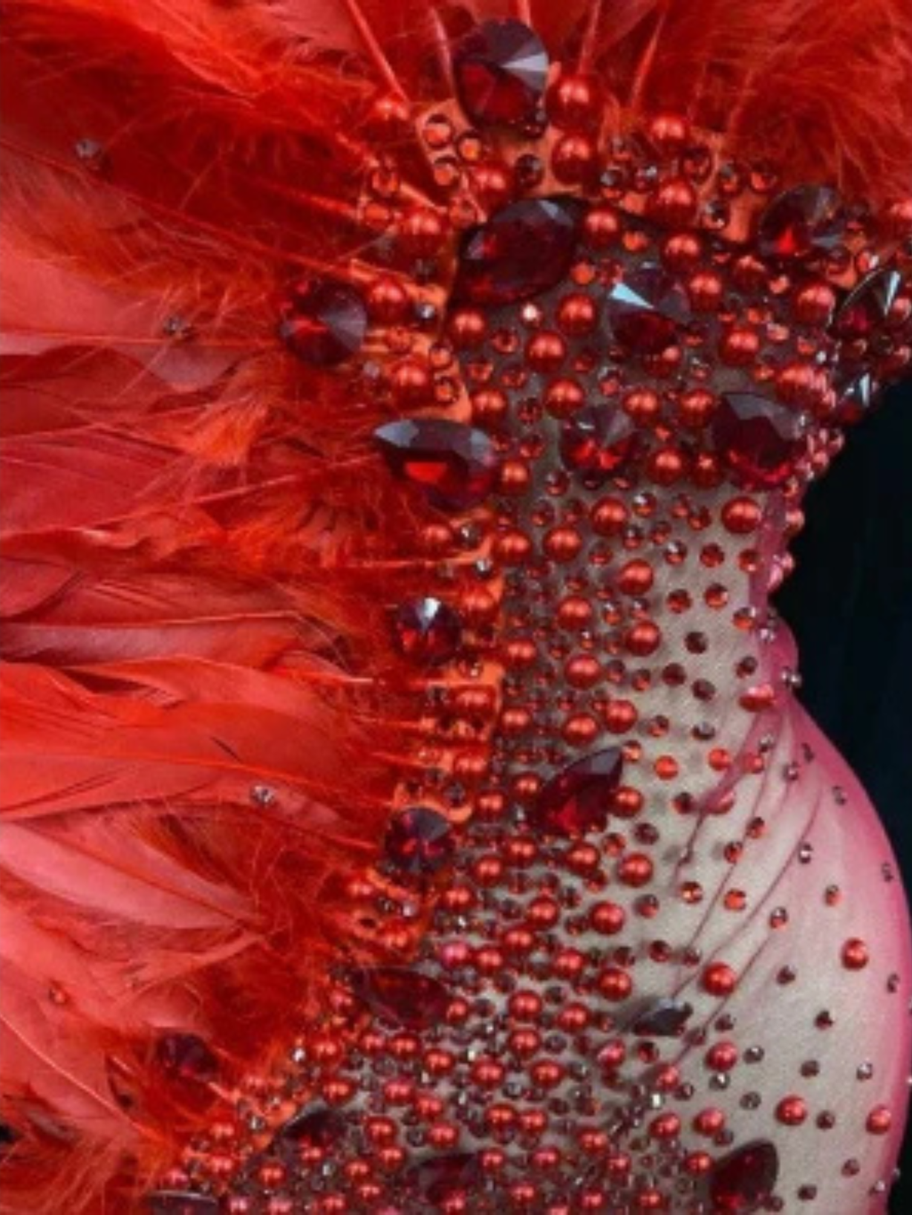 Black Feather Dress