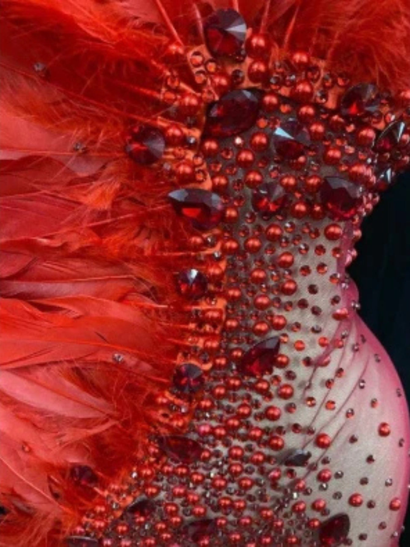 Black Feather Dress