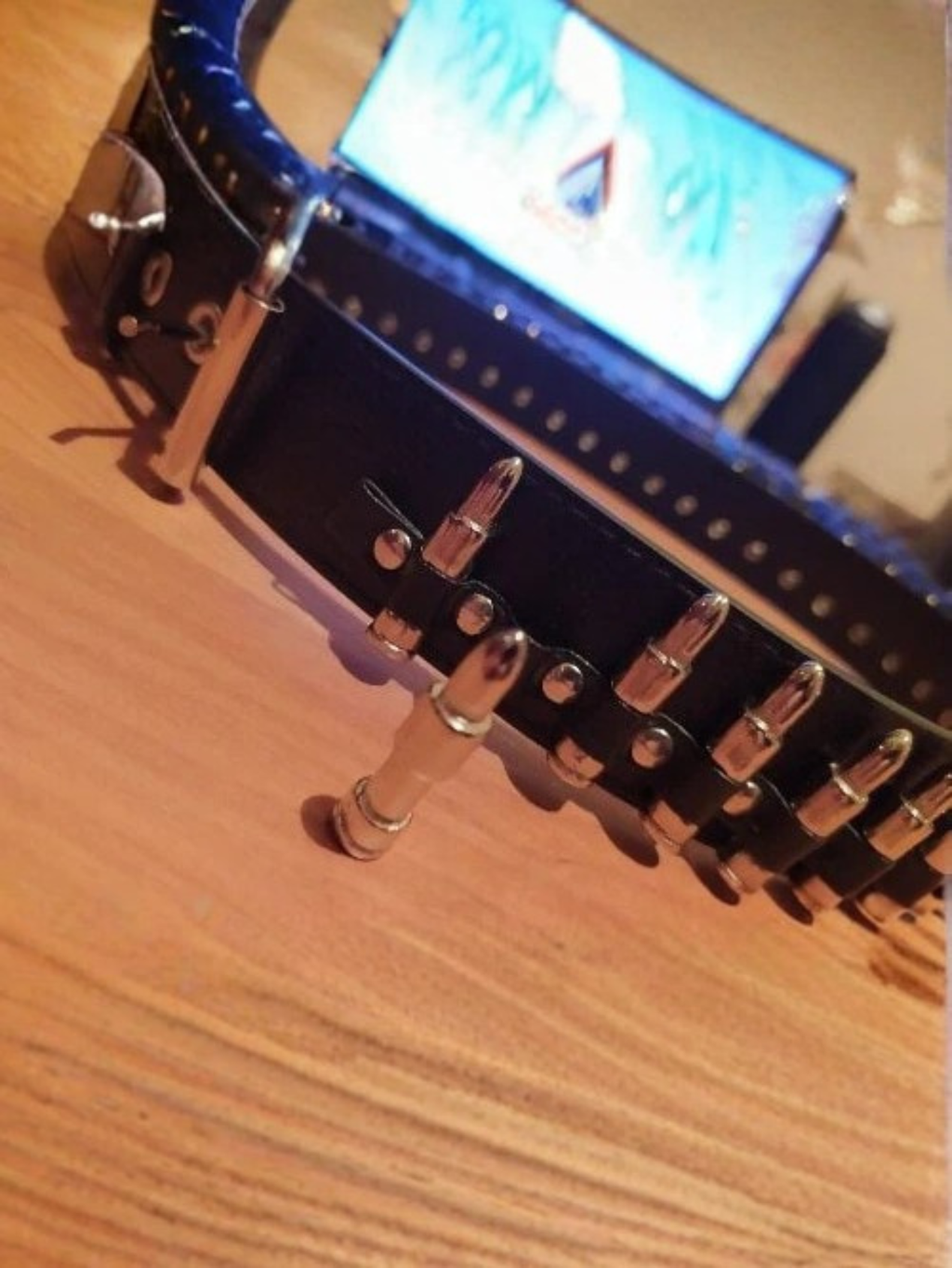Bullet Belt