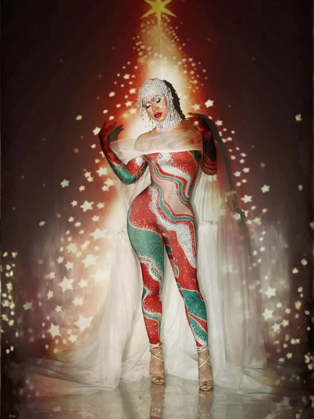 Christmas Sheer Dance Leotard Costume