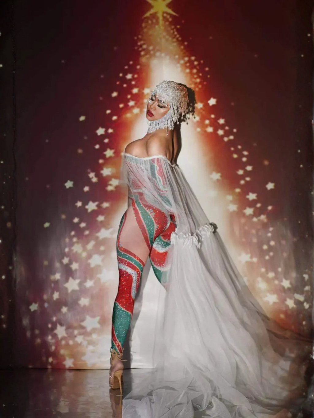 Christmas Sheer Dance Leotard Costume