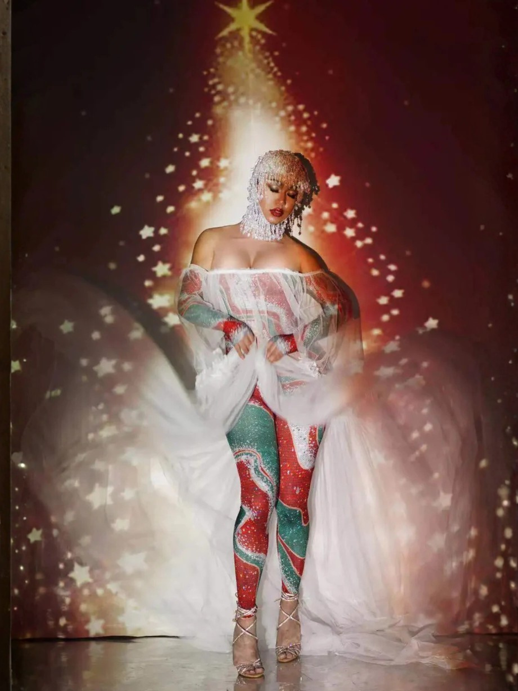 Christmas Sheer Dance Leotard Costume