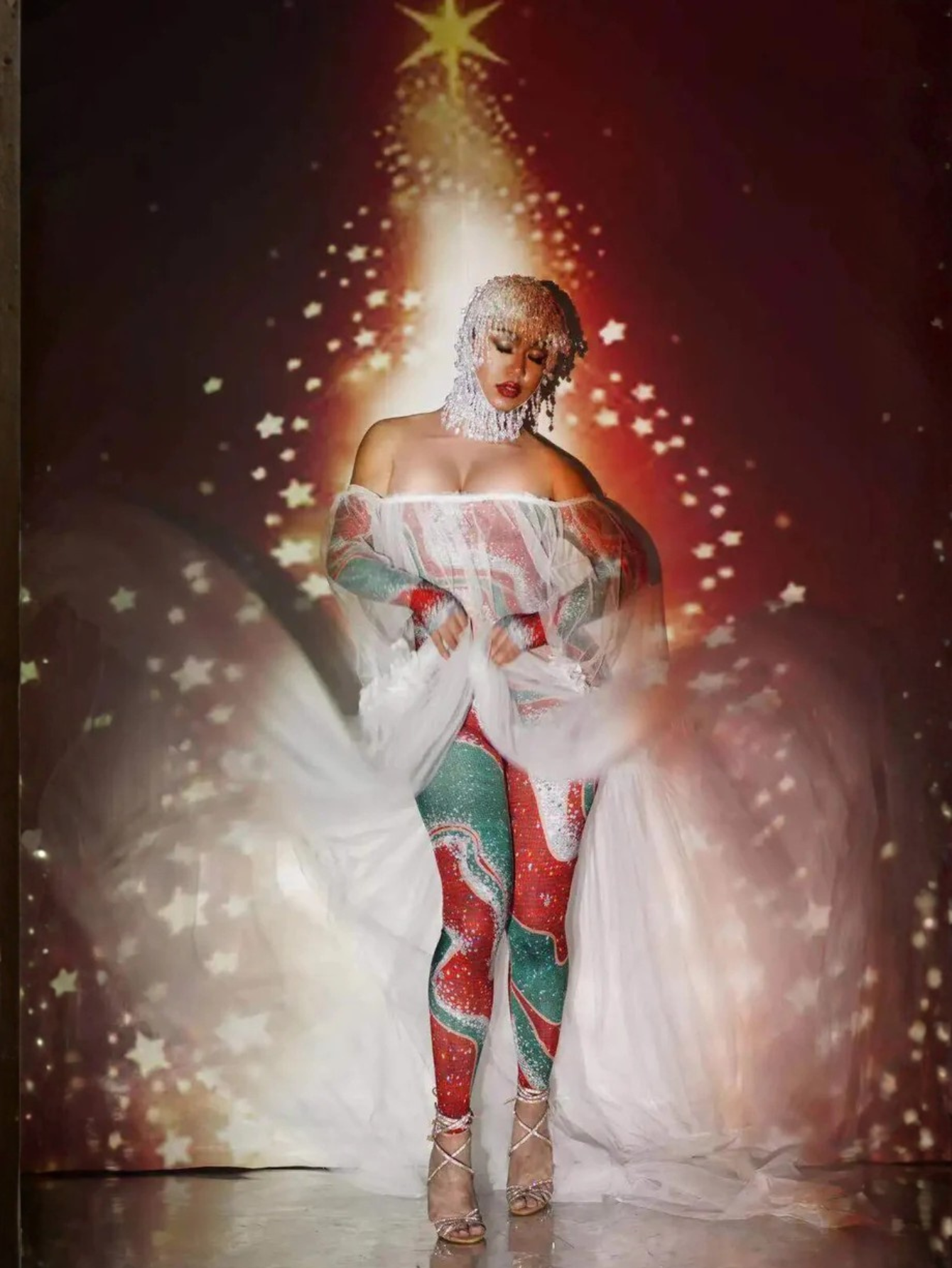 Christmas Sheer Dance Leotard Costume
